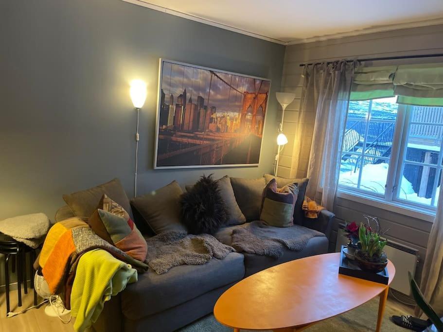 Koselig Leilighet , Med Parkering Og Ski In &Out. Apartment ออปป์ดัล ภายนอก รูปภาพ