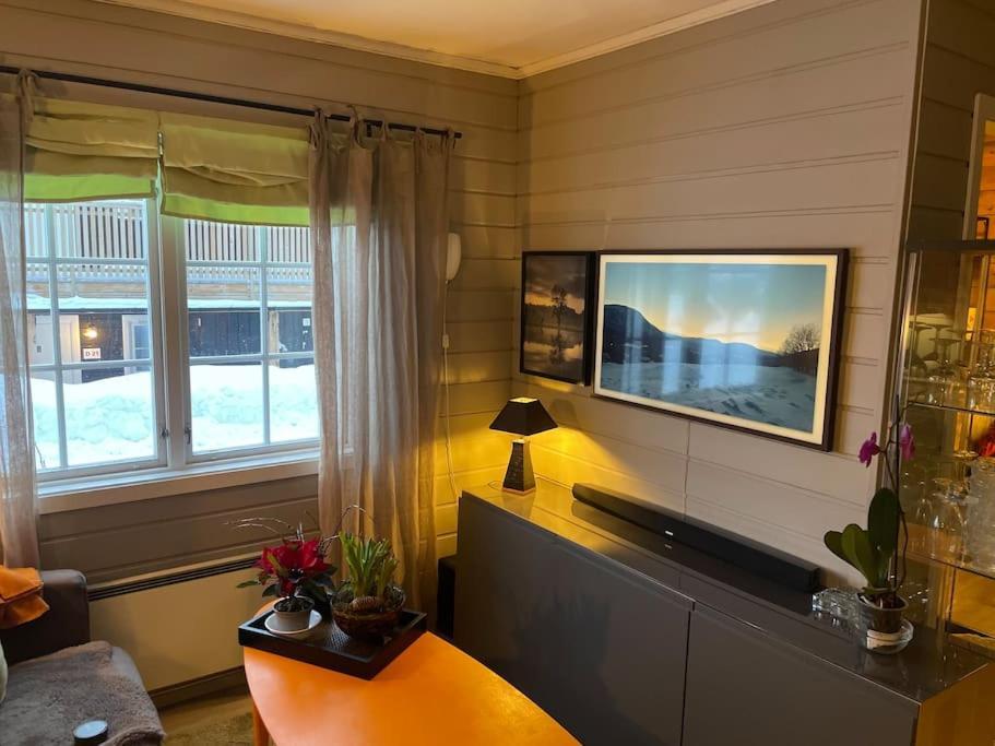 Koselig Leilighet , Med Parkering Og Ski In &Out. Apartment ออปป์ดัล ภายนอก รูปภาพ