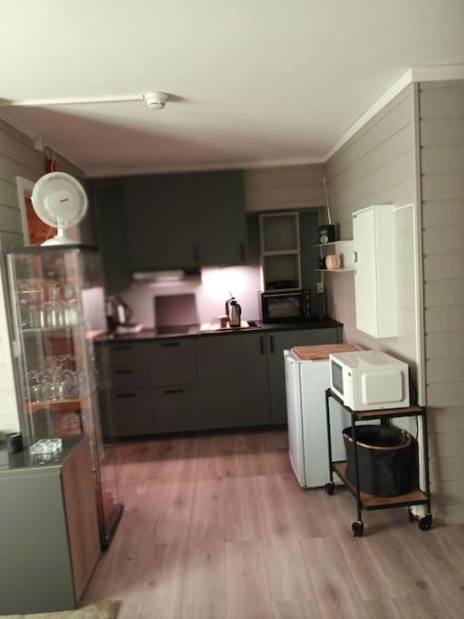 Koselig Leilighet , Med Parkering Og Ski In &Out. Apartment ออปป์ดัล ภายนอก รูปภาพ