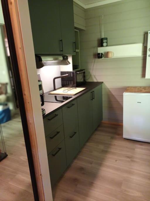 Koselig Leilighet , Med Parkering Og Ski In &Out. Apartment ออปป์ดัล ภายนอก รูปภาพ