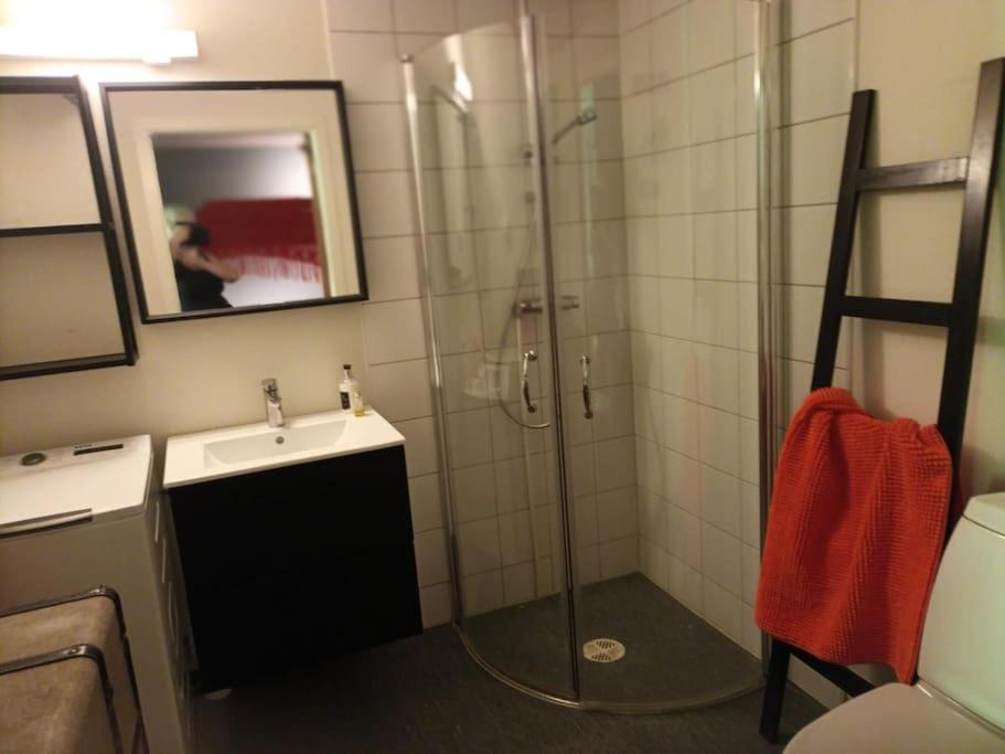 Koselig Leilighet , Med Parkering Og Ski In &Out. Apartment ออปป์ดัล ภายนอก รูปภาพ